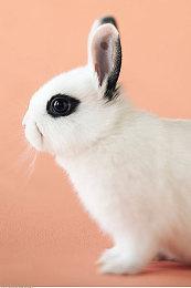 《漫游驿站Wanderstop》宣布延期至2025年 登陆PS5和PC